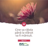 1537856652-evs