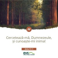 1537856778-evs