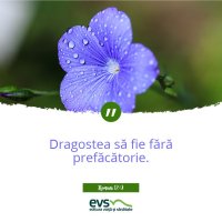 1537856996-evs