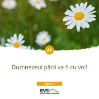 1537857122-evs