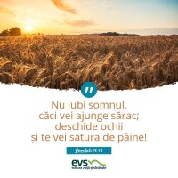 1537857194-evs