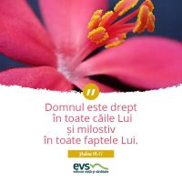 1537857335-evs