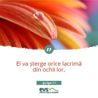 1537857404-evs