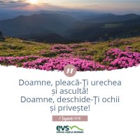 1537857482-evs