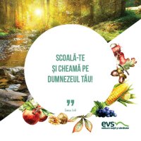 1537865964-evs