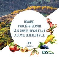 1538632202-evs