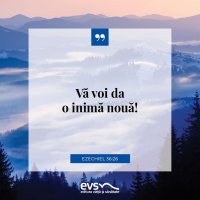 1548056202-evs