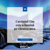 1548056338-evs