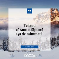 1548671526-evs