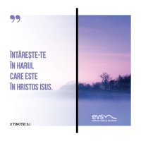 1549358075-evs