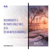 1549887021-evs