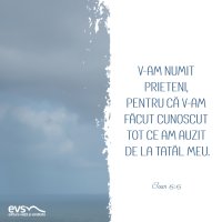 1592511838-evs