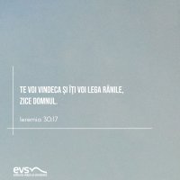 1597743410-evs