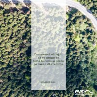 1602688921-evs
