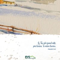 1611256472-evs