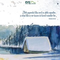 1611256621-evs