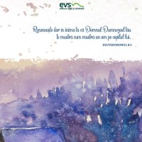 1611256794-evs