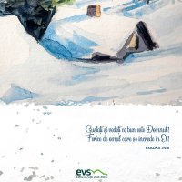 1611256825-evs