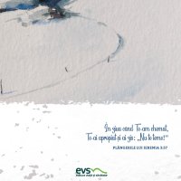 1611256933-evs