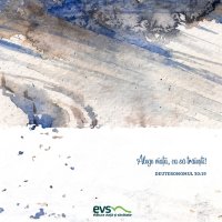 1611257164-evs